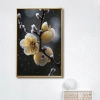 لوحة الزينة معلقة على 5070. Specification image